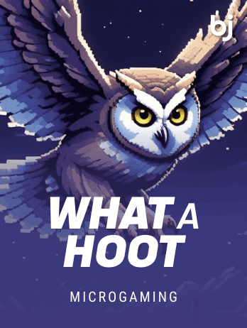 What A Hootpng icon